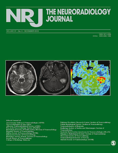 Cover page of The Neuoradiology Journal
