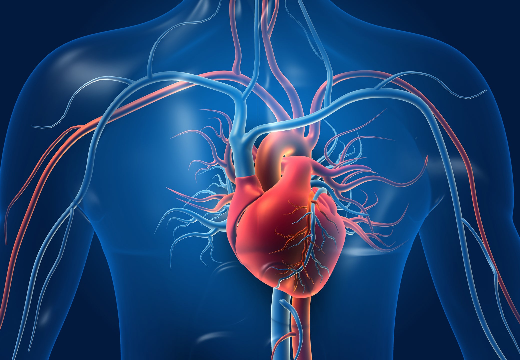 Coronary Artery Calcium Scoring