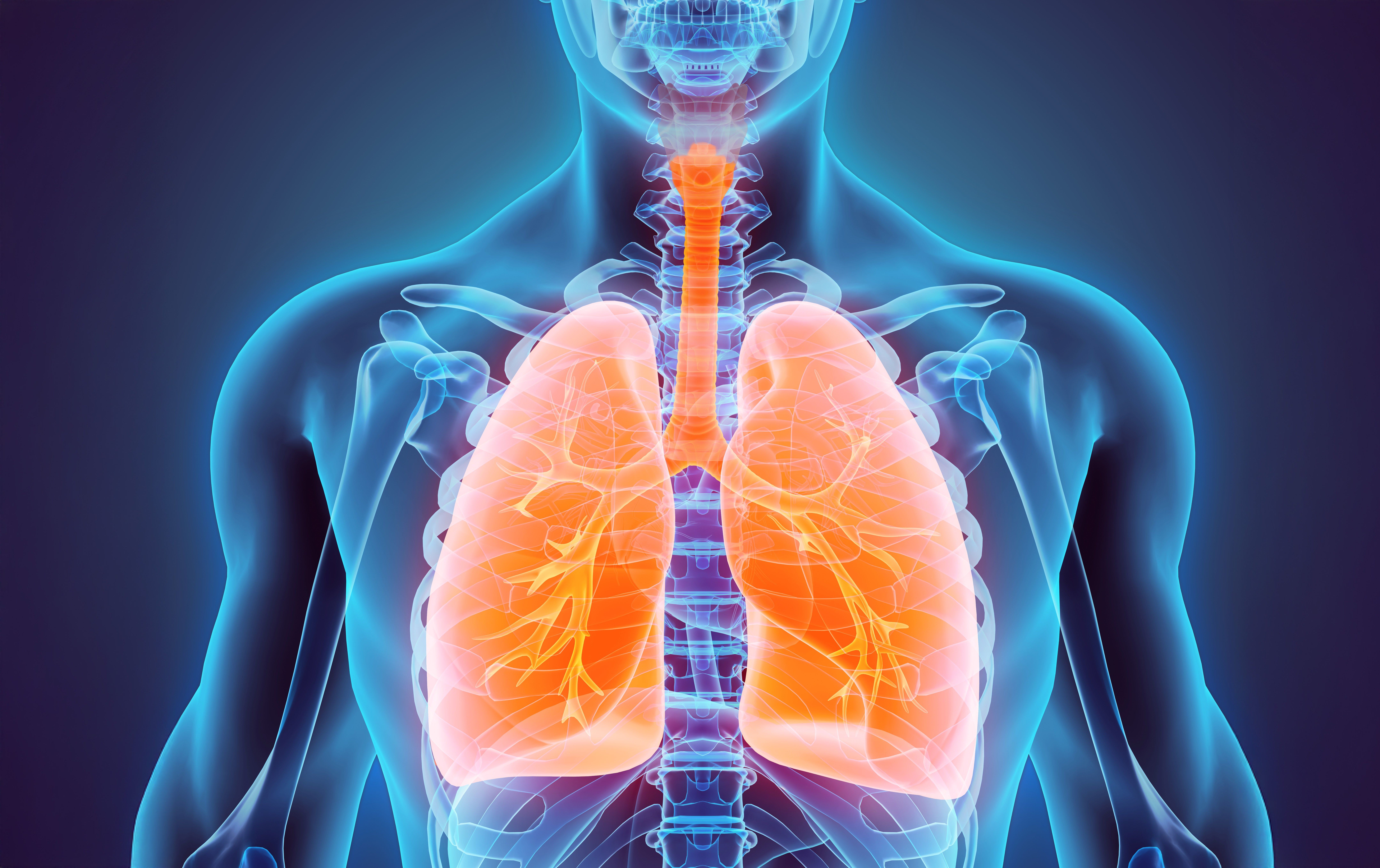 National Lung Cancer Screening Program