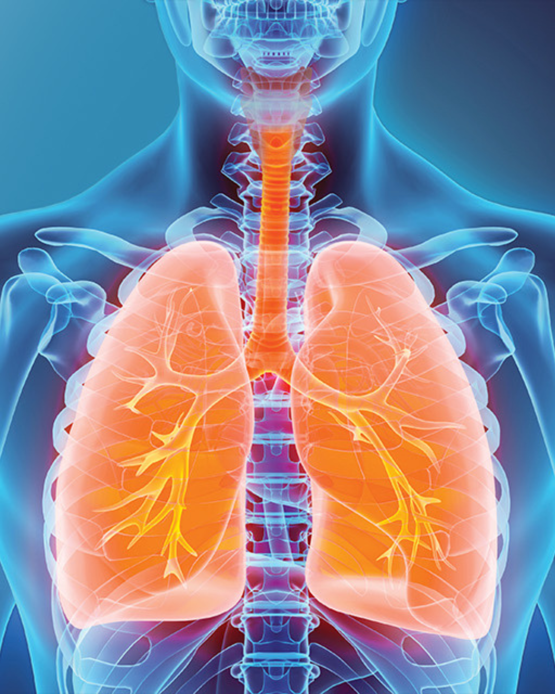 Lung Screening Basics: What You Should Know