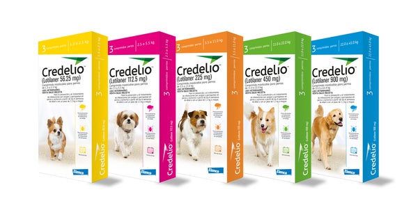 Credelio trata tanto a razas pequeñas como grandes, y viene en varias presentaciones