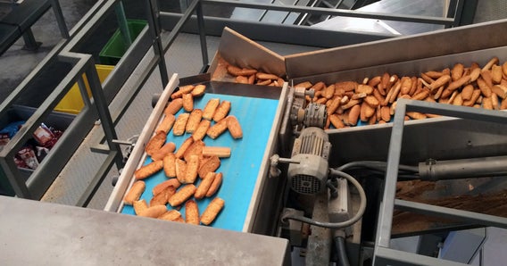 Biscotti sul nastro ThermoDrive e sul trasportatore con piano inclinato