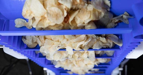 Chipsy ziemniaczane na taśmie ThermoDrive firmy Intralox w materiale A23 z zabierakami szufelkowymi i ściankami bocznymi