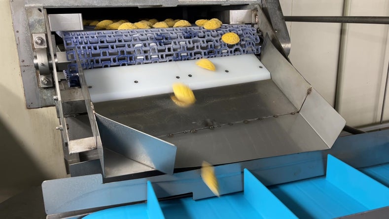 Miniature omelets tumble out of a spiral freezer and down a chute onto a flighted belt
