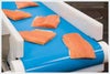 ThermoDrive Direct Food Contact Salmon