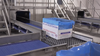 Open top white box lined with blue plastic transferring between conveyors on ARB transfer unit. Box is labelled "100% Air Chilled Chicken"