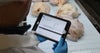 Employé tenant une tablette pour consulter les résultats du programme de convoyeur FMC d'Intralox concernant la ligne de traitement de la volaille