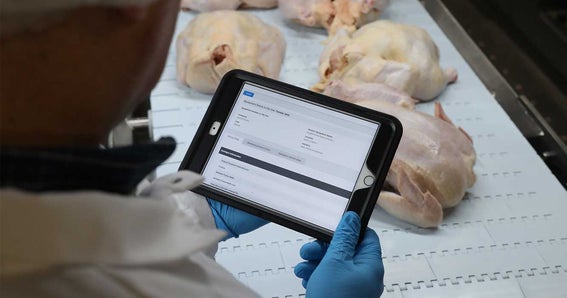 Mitarbeiter, der einen Tablet-Computer hält, um die Ergebnisse des FMC-Fördererprogramms von Intralox auf der Hähnchenlinie anzuzeigen