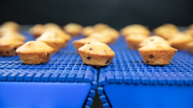 Blueberry mini muffins on Series 560 tight transfer belt