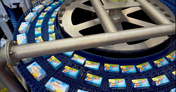 Boxes of cheddar cheese on a DirectDrive Stacker spiral belt
