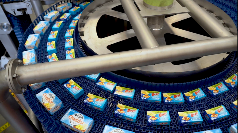 Boxes of cheddar cheese on a DirectDrive Stacker spiral belt