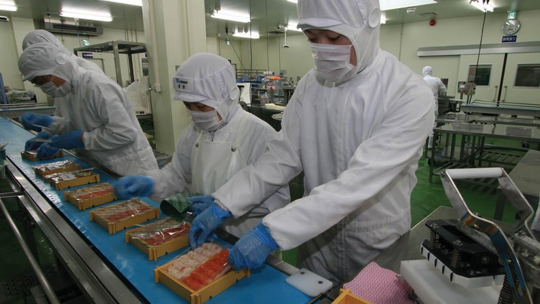 Several Sato Suisan employees in white uniforms with hygienic masks and caps seal bento boxes traveling along a ThermoDrive belt