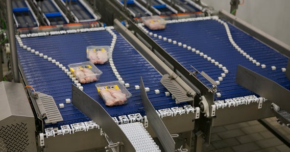 Schalenverpackungen mit rohem Hähnchenfleisch bewegen sich entlang einer kontinuierlichen AIM-Zusammenführung