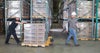 Two workers use a pallet truck to move boxes in a warehouse