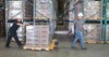 Dois trabalhadores usam um porta-paletes para mover caixas em um armazém
