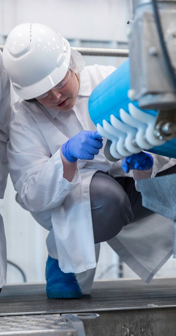 Worker in white hardhat and protective gear examining ThermoDrive conveyor belt and components on conveyor