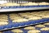 Uncooked croissants on blue friction-driven spiral conveyor belt