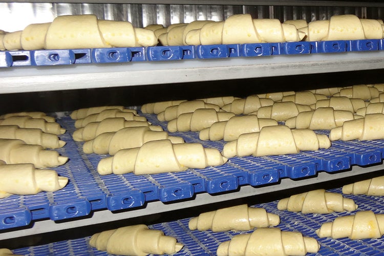 Nieupieczone rogale na niebieskiej spiralnej taśmie przenośnikowej z napędem ciernym