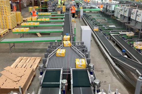 Large fresh produce crates on ARB conveyors