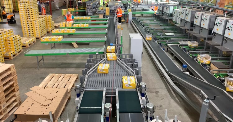 Grandes cajas de productos frescos en transportadores ARB