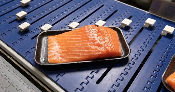 Vassoio con porzioni di filetto di salmone sul trasportatore AIM