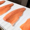 Trout fish filets on Series 800 PK belt