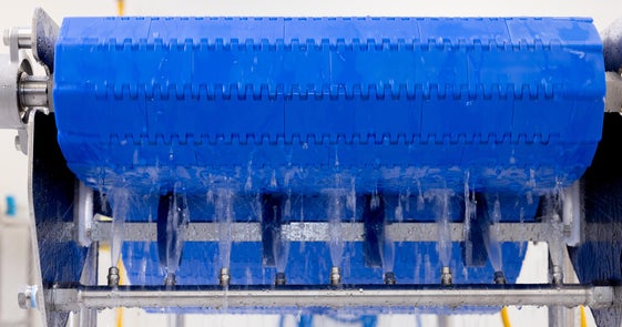 Conveyor with blue conveyor belt and blue CleanLock rollers being cleaned by clean-in-place spray bar