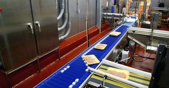 Chicken breasts in traypacks on AIM Multilane Sorter