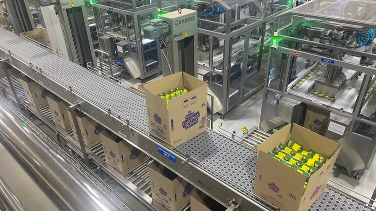 Cardboard boxes filled with Balaji Wafers' product are conveyed via ARB equipment