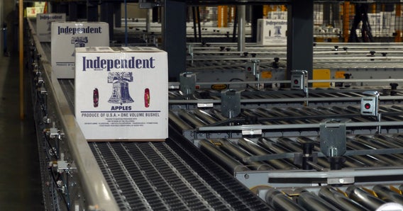 Cajas blancas de manzanas en el clasificador DARB y en transportadores de rodillos