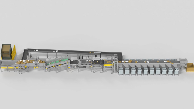 Rendering of automated induction and automated sortation