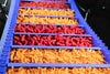 Varietà di patatine al formaggio su un nastro trasportatore ThermoDrive A23 inclinato, con facchini e pareti laterali sincronizzate