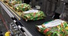 Bags of frozen vegetables on accumulation conveyor with roller top conveyor belt