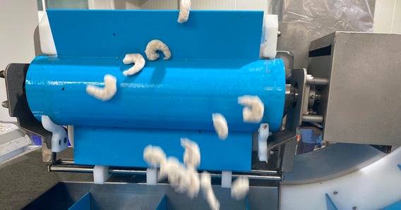 Camarão congelado no sistema de esteiras ThermoDrive