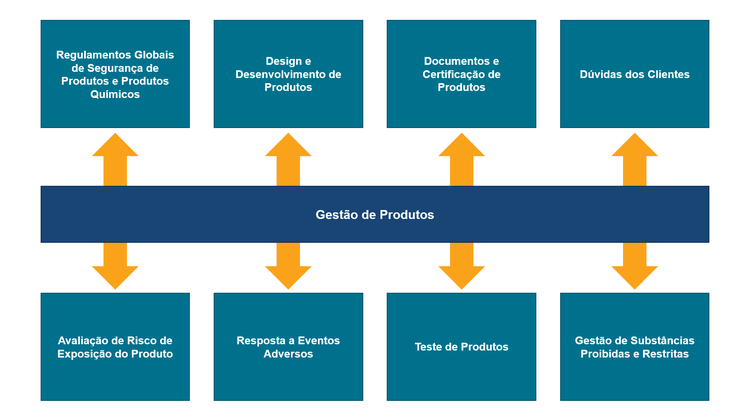 Infográfico de gestão de produtos