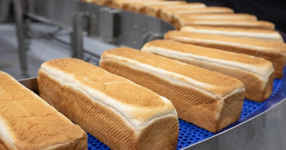 Filoni di pane intorno a nastri trasportatori curvilinei con nastri Serie 2400 HDE
