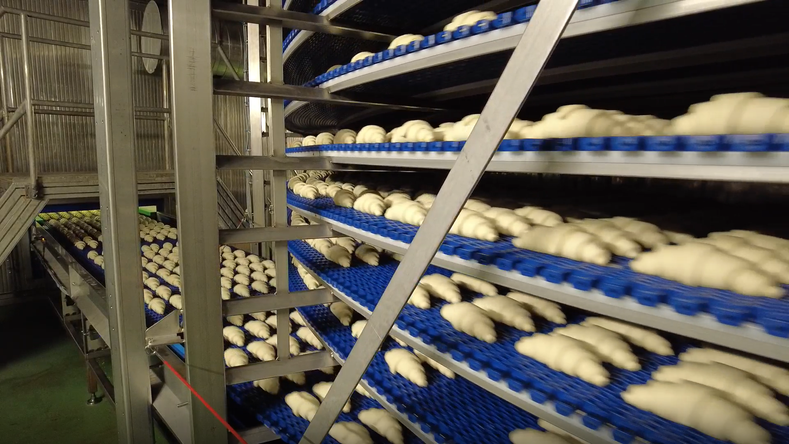 croissants on series 2900 curved top belting on a spiral