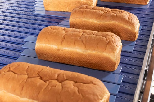Pães em uma esteira transportadora modular plástica em um ambiente de panificação comercial. O sistema de transporte, com equipamentos e guias automatizados, transporta os pães.