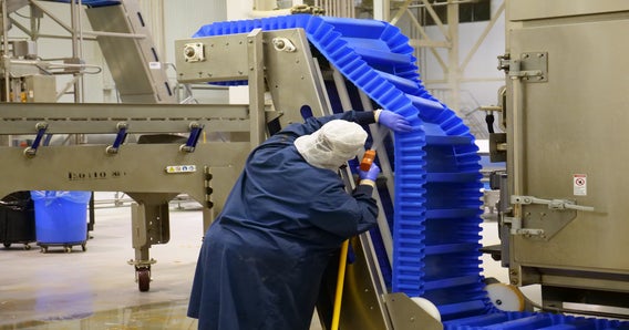 Worker cleaning underside of ThermoDrive A23 incline conveyor belt with scoops and sidewalls