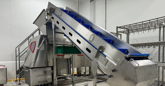 Ein Elevator im Werk von Salumficio Mec Palmieri ist mit dem Open Hinge Flat Top-Band der Serie 800 mit Heavy-Duty Edge aus blauem PK von Intralox ausgestattet