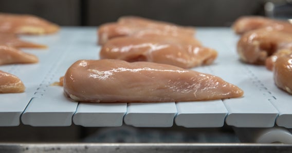 Pechuga de pollo cruda en una banda modular de plástico FoodSafe Intralox