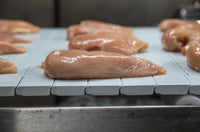Chicken breasts on FoodSafe Series 800 Polyketone belt