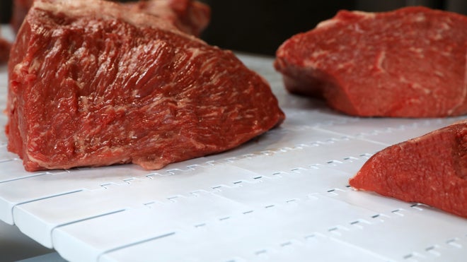 Cuts of beef on Series 800 HDE PK conveyor belt