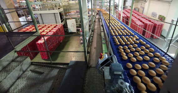 A bakery facility featuring buns on an Intralox Side Drive conveyor