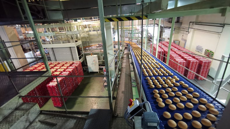 Une boulangerie avec des petits pains sur un convoyeur à entraînement latéral Intralox