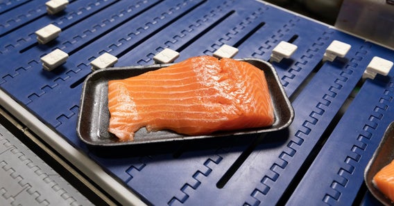 Paquete de bandejas con filete de salmón en porciones en el transportador AIM