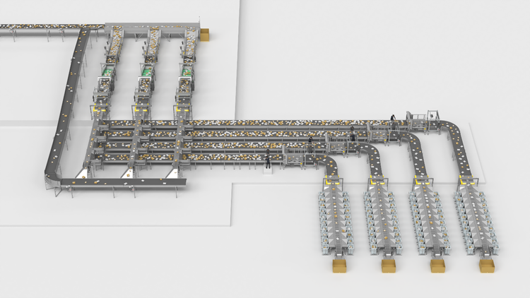 Matrix of fully automated sorting and bulk flow lines