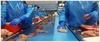 Torsos of workers in blue gloves and Ty-vek suits handling chicken breasts along conveyor with ThermoDrive belt