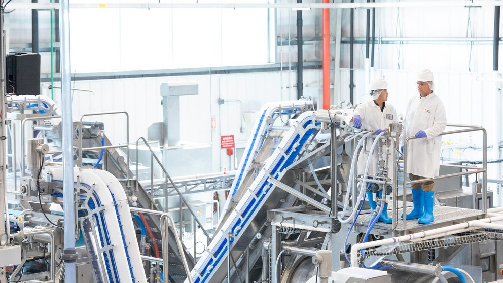 Two people in protective gear standing on platform amidst conveyors in middle of factory