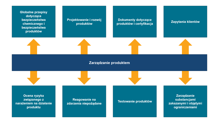 Infografika dotycząca zarządzania produktem